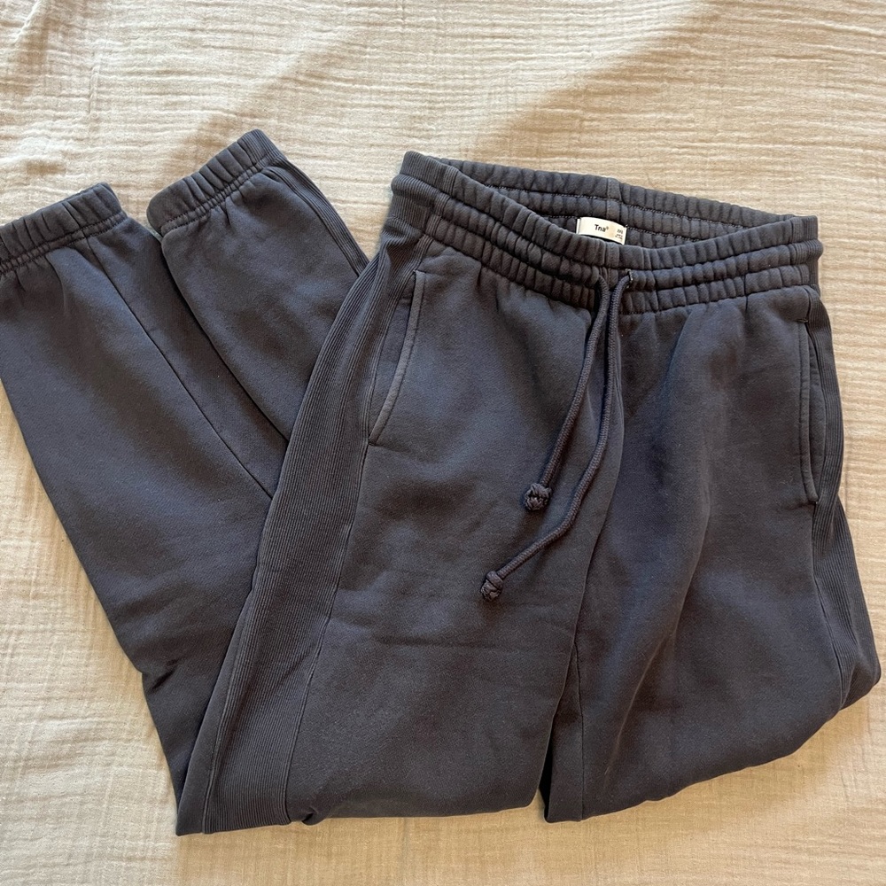 Aritzia TNA Boyfriend Sweatpants